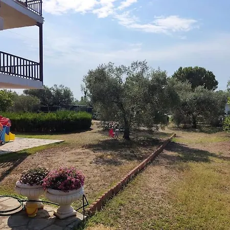 Old Olive Trees 50 M2, 2 Bedrooms, Sea View * Psakoudia